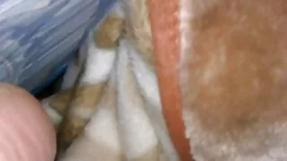 შეყვარებული, მისი შეყვარებული, ფუჩური