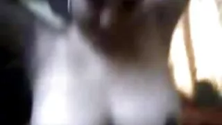 ბიჭი მოხდა, ყლე, გოგო, გოგო, სისულელეა