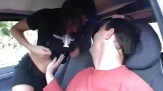დიდი Pin მელოტი ნაძვის ramming ღრუს ქერა