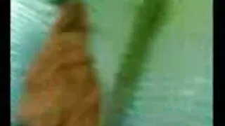 იჯდა ცოცხი და გაიტაცა შეხვდება ორგაზმი