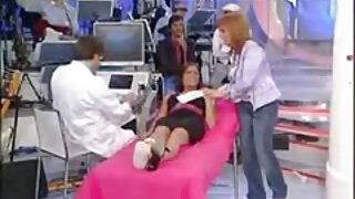 თხილის გული