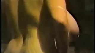 ტიტ ე